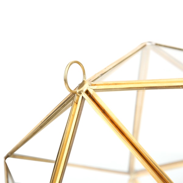 Unik geometrisk polyhedral form glasblomkruka dekorativ växtkruka behållare