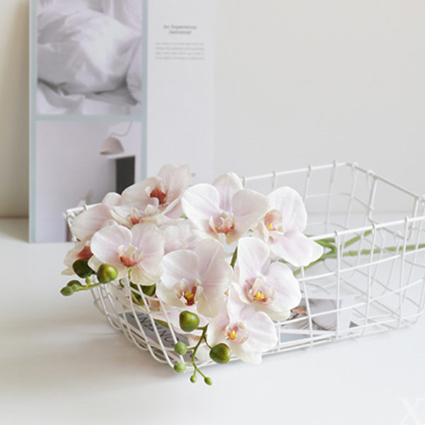 Phalaenopsis Simulering Blommor Artificiell Phalaenopsis Gren