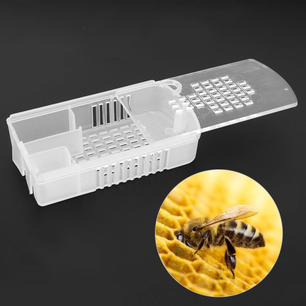5 st Transparent plast Queen Bee Cage Biodlingsverktyg