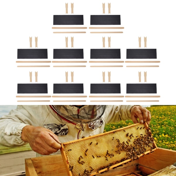 10 set Bikupa ramar Foundations Kit Honey Bee Ramar med bivax belagda livsmedelsklassade foundation lakan Biodlingstillbehör