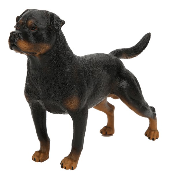 Rottweiler-simuleringsmodell prydnader skrivbordsdekoration barnutbildningsleksak