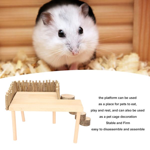 Hamster Kiipeilyalusta Luonnonpuusta Vakaa Monitoiminen Hamster Leikkipaikka Pyörivällä Tikkailla Pienille Lemmikeille
