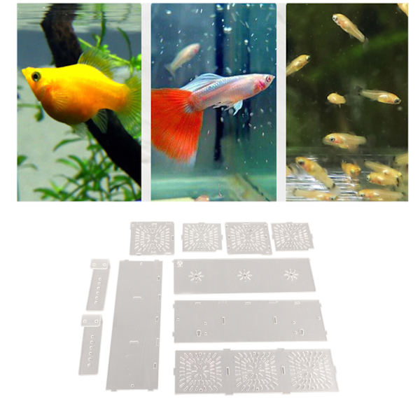 Akryl gennemsigtig fiskebeholder avlsisoleringsboks akvariumrugemaskine inkubatorholder(C)