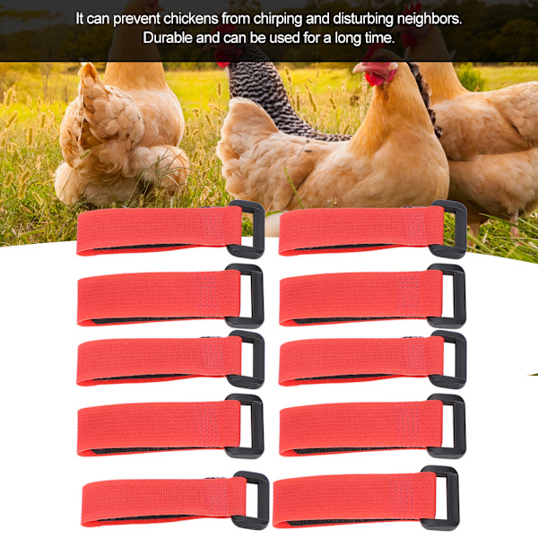 5Bag AntiHook Rooster Nylon Kaulus Melu Kaulapanta Kaulakoru Lemmikkikana Tarvikkeet
