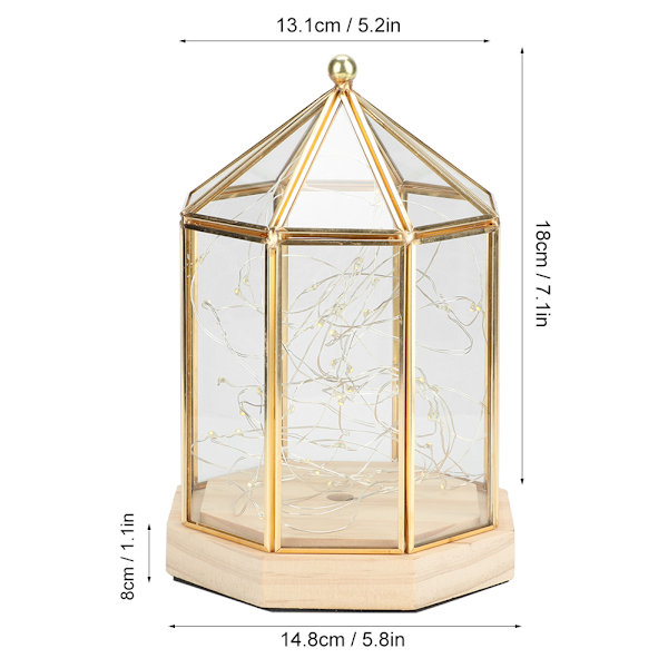 Elegant Planteholder i Glas med Geometriske Former til Sukkulenter - Hjemmedekoration til Haven