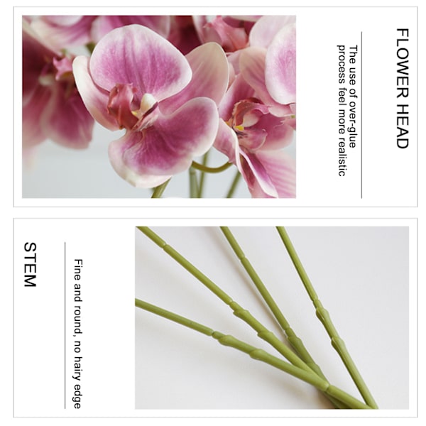 Phalaenopsis Simulering Blommor Artificiell Phalaenopsis Gren