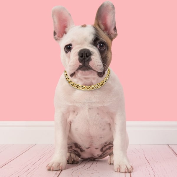 Small Medium Pet Hundehalsbånd Halskjede Smykketilbehør for Teddy French Bulldog