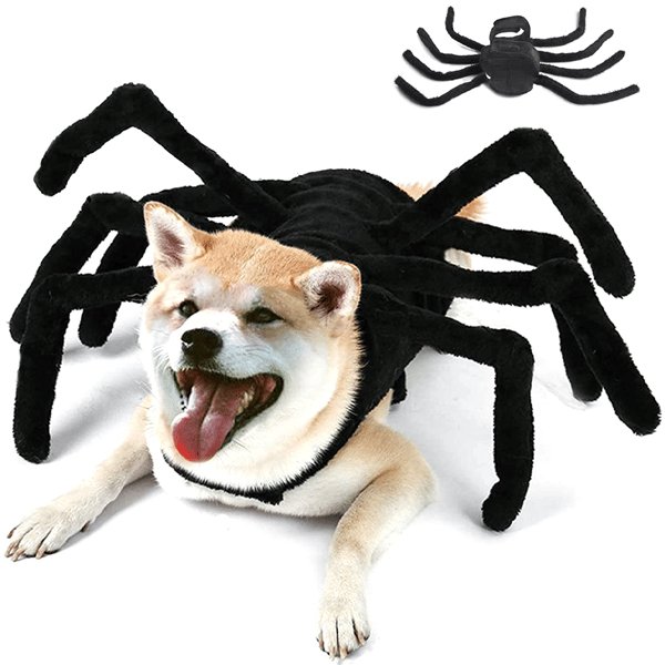 Hunde Halloween Kostumer - Edderkoppekostume til Halloweenfest, til sti style 1