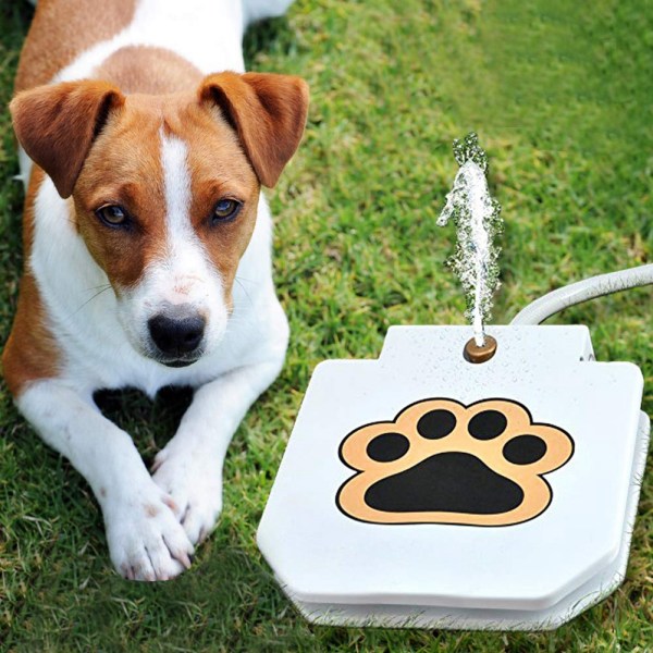 Hundedrikkevandsfontæne Step On Water Dispenser System til hundefoder