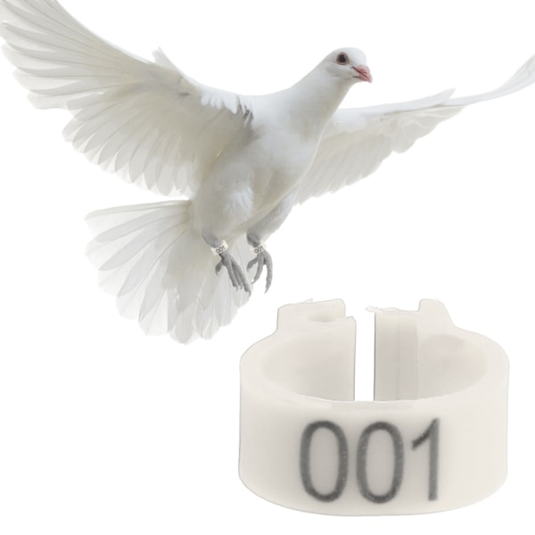 100 STK/pose 8MM 001-100 Nummererte plastbrevdue Fuglebenbånd Ringer (hvit)