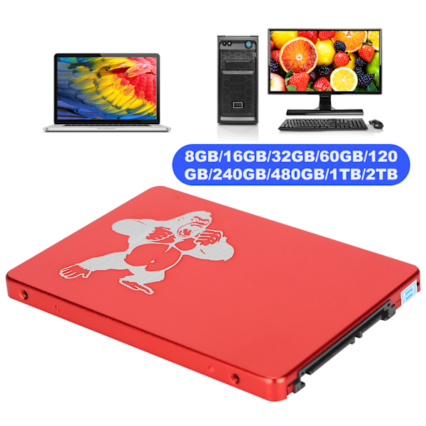 Hsthe Sea SSD Automatisk Identifiering Intelligent Felkorrigering Röd Metall 2.5in Hårddisk för Lagring av Data16GB