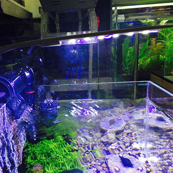 Klemme Akvarielys Høj Lysstyrke Justerbar Energibesparende Fisktank LED Klipslys til Akvarium Fisketanke X5 Sort Skal (Blåt og Hvidt Lys