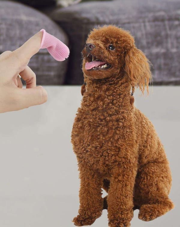 Dog Toothbrush Pet Finger Toothbrush Teeth Cleaning Multicolor multicolor