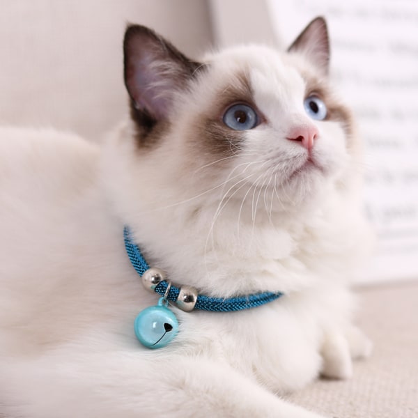 Kjæledyrshalskæde i japansk stil Nylontilbehør Katteklokkehalsbånd med forlængerkæde (blå)