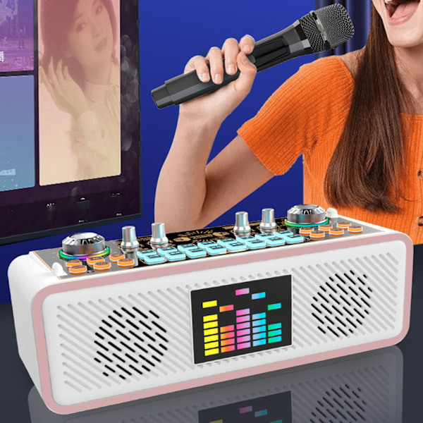 Karaoke Ljudkort Kit Typ C Laddning Bluetooth Högtalare Trådlöst Mikrofon Kit med Ljudmixerbräda för Telefon PC