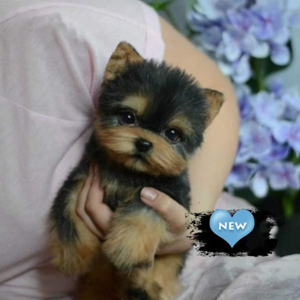 Inga Överkänslighetsproblem, Realistisk Yorkshireterrier, Mjuka Kramvänliga Material, Prisbelönt Kvalitet, Perfekta Presenter till Hundälskare, Bekymmersfritt Husdjur