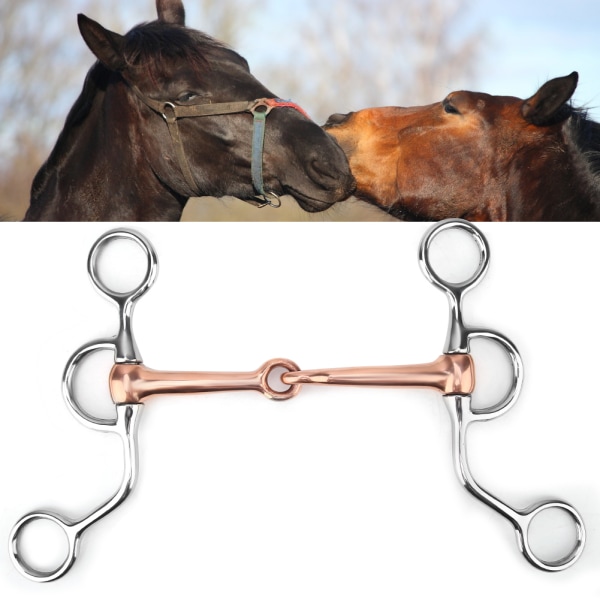 Horse Chew Stainless Steel Training Bit Kopparfogad månad