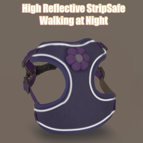 No Pull Step-in Puppy Harness with Breathable Mesh and Quick Release Dog Harness and Leash for Small Medium Dogs Reflective Purple XS