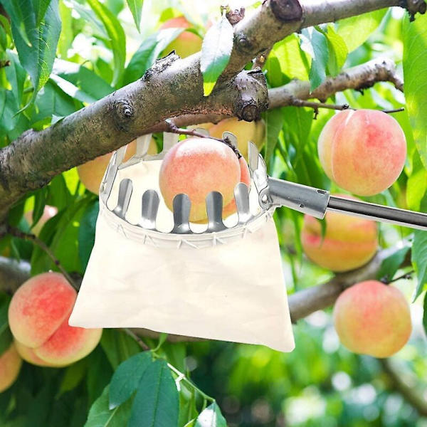 Fruit picker, fruit protection net, fruit net, peach, pear, apple picker, 16 cm fruit picking bag