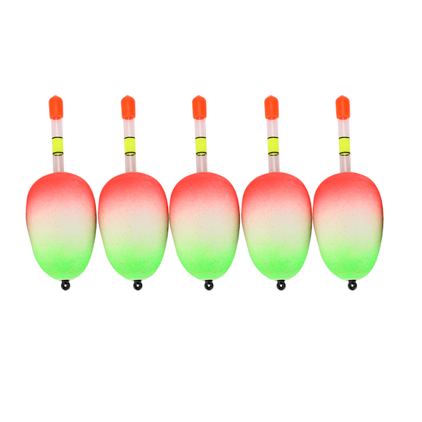 5 st Flytande EVA Fiske Flöten Bobbers Set Fiske Tillbehör för Havsfiske (30g)