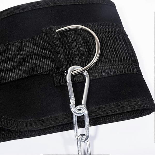 Weightlifting Belt for Powerlifting with Double D-Ring, Back Support, Training 102 cm / 40.2 inches [D]