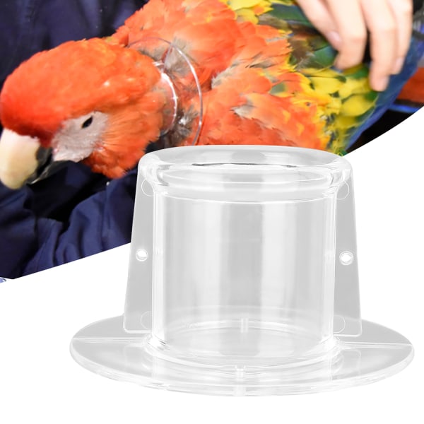 Pet Papegoja Anti bett Plockande fjäder Sårläkning Cover för fågel(L)