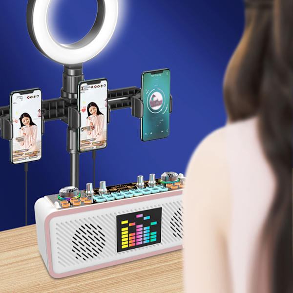 Karaoke Ljudkort Kit Typ C Laddning Bluetooth Högtalare Trådlöst Mikrofon Kit med Ljudmixerbräda för Telefon PC