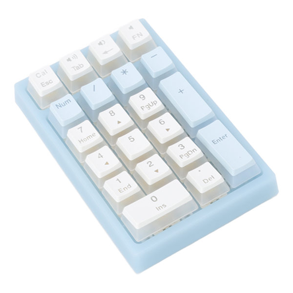 21 Tangenter Numerisk Knappsats RGB Bakgrundsbelyst Ergonomisk Liten Mekanisk Numerisk Knappsats Numeriskt Tangentbord för Bärbar Dator