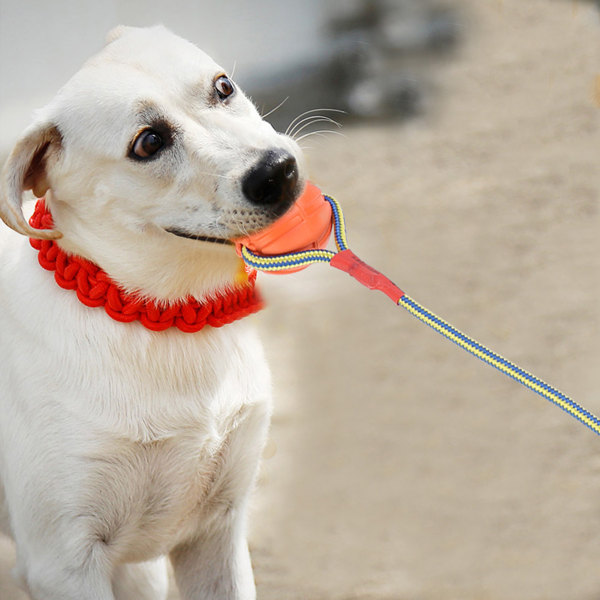 Bærbar EVA hundetræning Bideresistent interaktivt tyggetøj Bold med reb (rød)