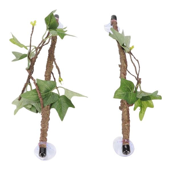 Matelijan kulmaoksan terraariokasvin koristelu imukupeilla sammakkoliskon käärmekiipeilyyn