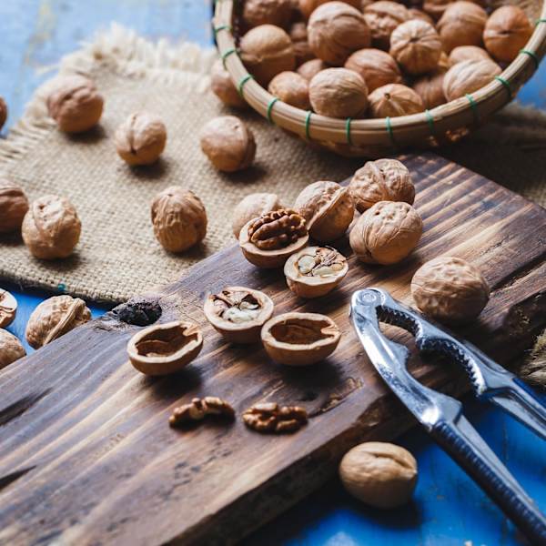 2-piece Walnut Cracker Tool Set, Walnut Crusher, Metal Nutcracker, Nut Shell Breaker, Kitchen Utensil with Non-slip Handle