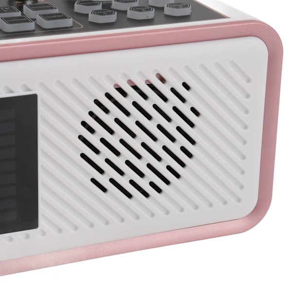 Karaoke Ljudkort Kit Typ C Laddning Bluetooth Högtalare Trådlöst Mikrofon Kit med Ljudmixerbräda för Telefon PC
