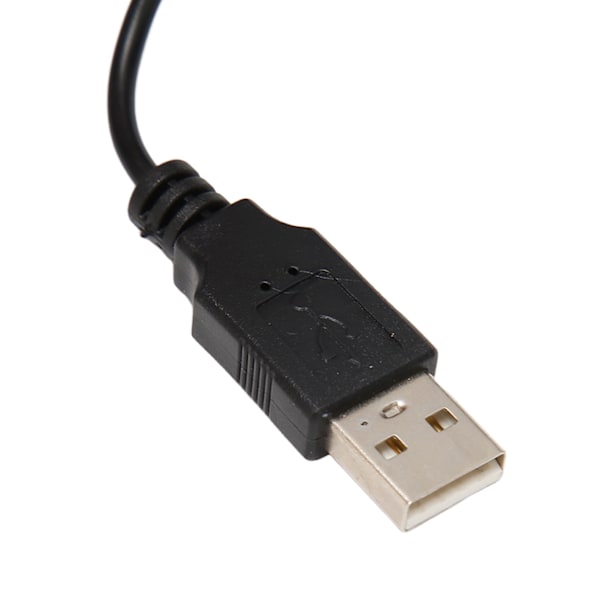 USB Fingeravtrycksläsare Autoidentifiering Enkel Användning 10 Finger Kapacitet Fingeravtryck Inloggningsnyckel för Dator
