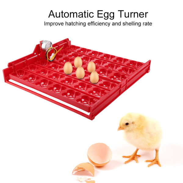 36 egg/144 fugleegg Inkubatorklekker Automatisk eggdreieverktøy (220V motor)