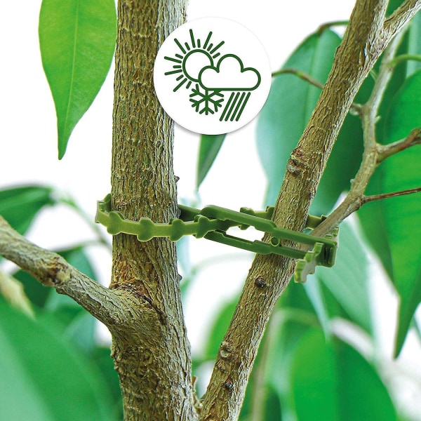 200 st Gröna växtslipsar i plast Återanvändbara buskband Stabila klätterstöd för växter Trädgårdsredskap - Perfet