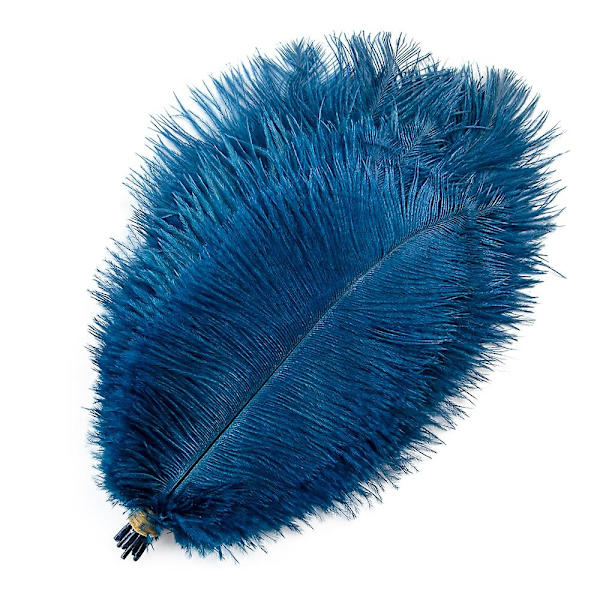 10 stk Naturlige Sorte Strudsefjer til Håndværk Bryllup Hjem Dekoration 15-20cm/25-30cm/30-35cm Fest Strudsefjer Midtpunkt-Perfekt navy blue