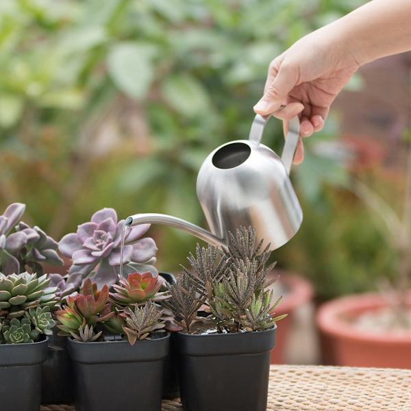 Mini vandkande med lang tud til potteplanter i haven - Perfet