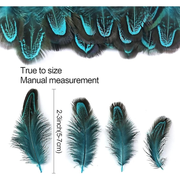 100 stk. 5-7,5 cm Påfugleblå Fasanfjer Bulk Forskellige Farver Naturlige Fjer Håndværk Tøj Hat Syning Dekoration - Perfekt