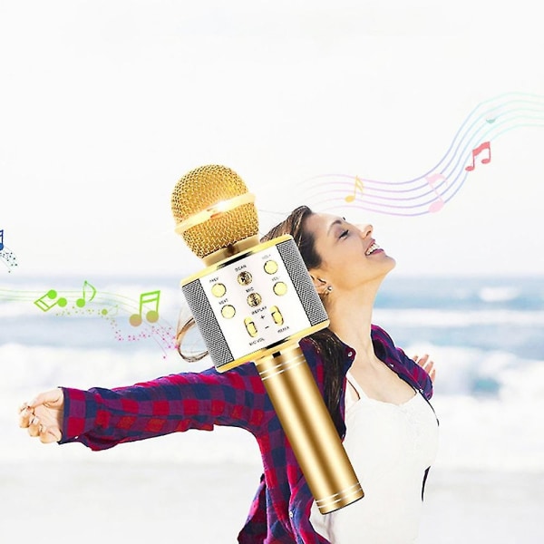 Profesjonell Bt trådløs mikrofon Karaoke høyttaler Ktv Musikkspiller Vokalopptaker Håndholdt mikrofon Gull--gull - Perfet