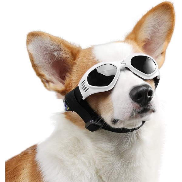 Koiran lasit, aurinkolasit lemmikeille, UV-suoja - Perfet White