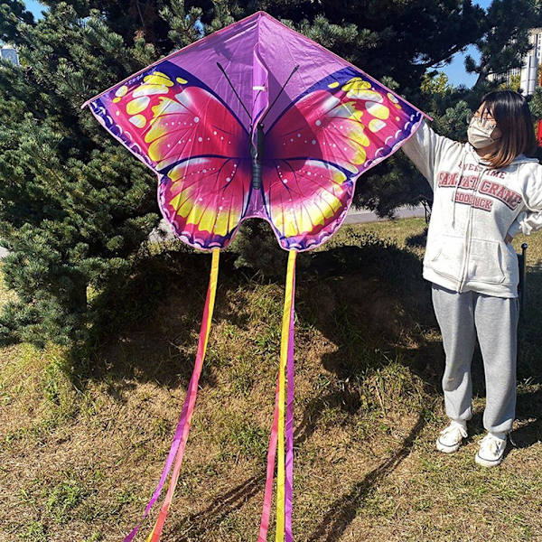 Butterfly Triangle Kite 50/100 Meter leija SININEN - täydellinen