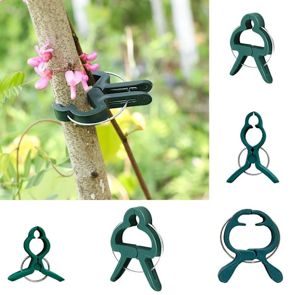 50 stk Tomatclips Trellis clips 6CM X 4,5CM - Perfet 6cm x 4.5cm