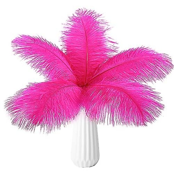 20 stk. Naturlige Strudsefjer i Bulk - Perfekt Pink