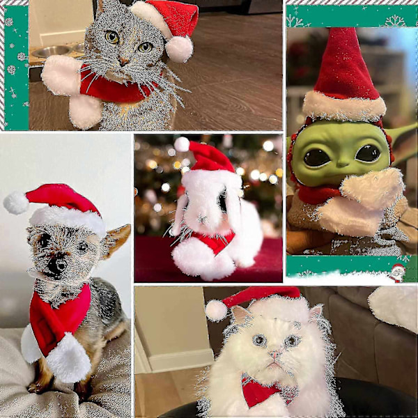 Jultomtehatt med Halsduk för Katt - Juldräktset för Valp Hund Katt Jultomtehatt - Perfekt