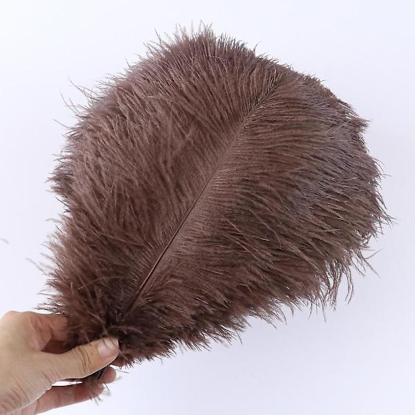 10 stk Naturlige Sorte Strudsefjer til Håndværk Bryllup Hjem Dekoration 15-20cm/25-30cm/30-35cm Fest Strudsefjer Midtpunkt-Perfekt Coffee