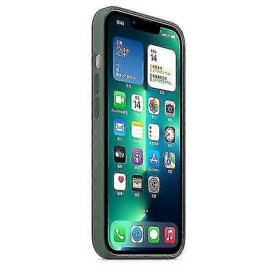 Silikone Etui med Magsafe Kompatibel med Iphone 13 Pro Telefon Etui - Perfekt Eucalyptus