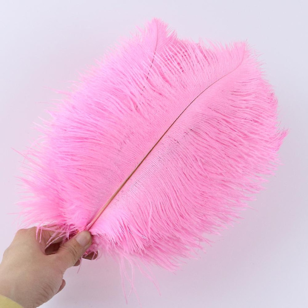 10 stk Naturlige Sorte Strudsefjer til Håndværk Bryllup Hjem Dekoration 15-20cm/25-30cm/30-35cm Fest Strudsefjer Midtpunkt-Perfekt 5
