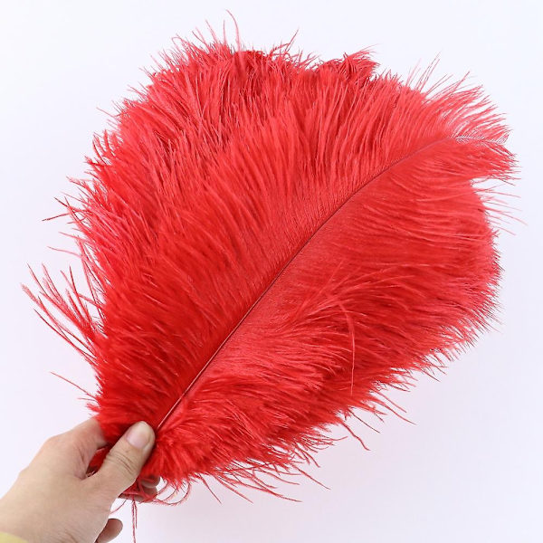 10 stk Naturlige Sorte Strudsefjer til Håndværk Bryllup Hjem Dekoration 15-20cm/25-30cm/30-35cm Fest Strudsefjer Midtpunkt-Perfekt Red