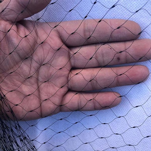 Musta Anti lintuverkko Siipikarjan verkko lintuhuone vihanneksille - Perfet 2*9M