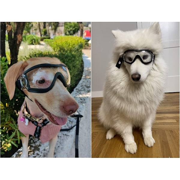 Hundebriller til mellemstore og store racer - Øjenbeskyttelse Solbriller Vindtætte UV-beskyttende Briller til Udendørs - Klar Linse Justerbare Hovedstropper - Perfekt
